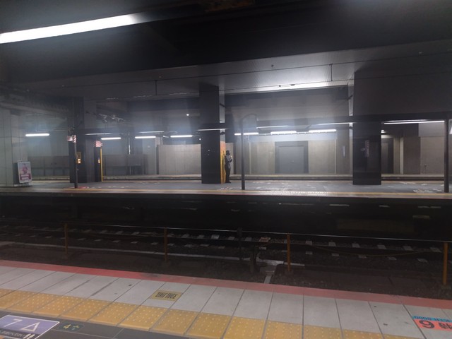 ホームの先を眺めていると…（たもんまるさん提供）