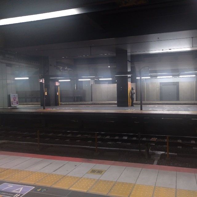 ホームの先を眺めていると…（たもんまるさん提供）