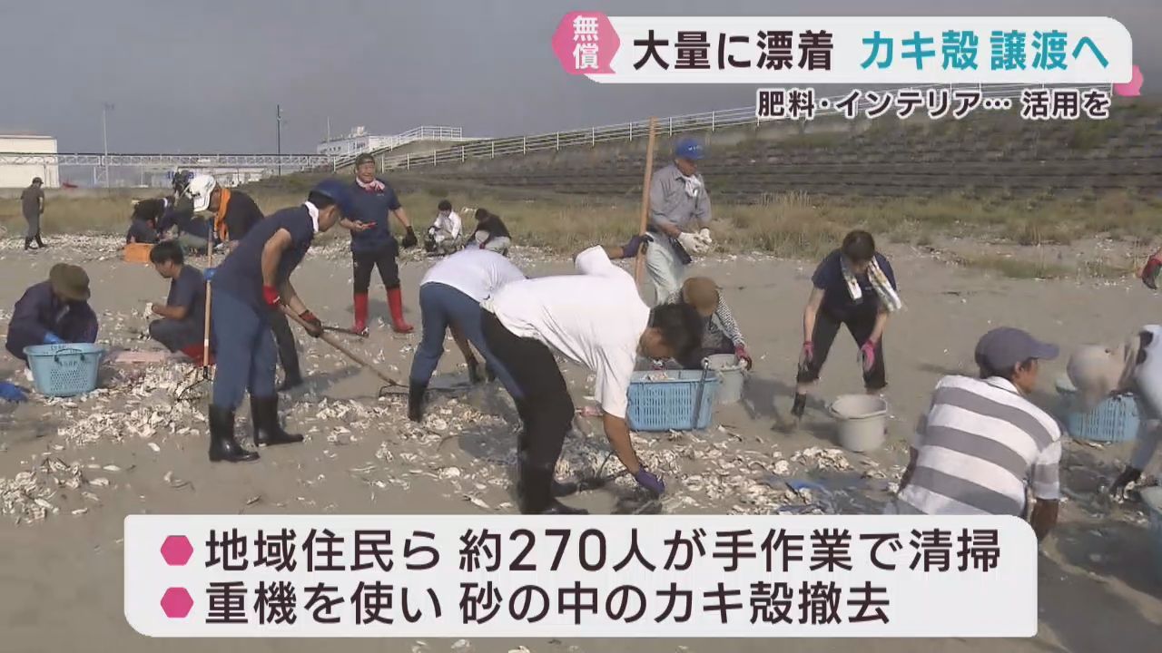 宮城・石巻市の海岸に大量に漂着したカキ殻を清掃　希望者に無償で譲渡