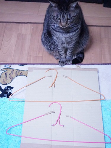 第一の壁、フック切り。この時点でハンガーの先にガムテープをつけました（危なくないよう）