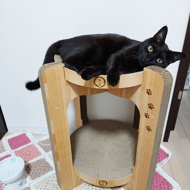 一番お気に入りの場所