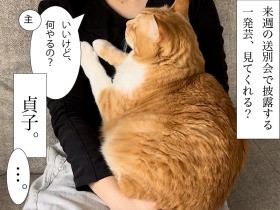 お太りさま猫ぐっぴーが一発芸を披露？　その出来栄えは…