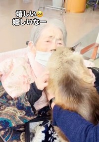 特別養護老人ホームの利用者と愛猫の8年ぶりの再会がSNSで話題に（社会福祉法人揺籃会『ゆうあいの郷』提供、Instagramよりキャプチャ撮影）