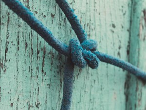 めざす生き方に固執していた私は「楽しくなさそう」と見られていた