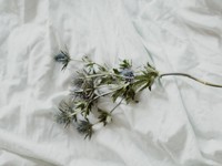 「あなたにそいつは勿体無い」傷だらけの友人を守るために発した言葉