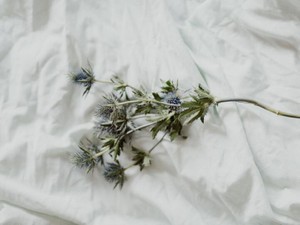 「あなたにそいつは勿体無い」傷だらけの友人を守るために発した言葉