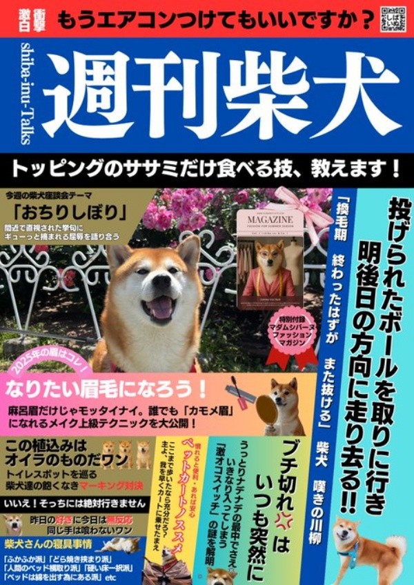 柴犬のゴシップ雑誌も！ 『週刊柴犬』（画像提供：しばわんこさん）
