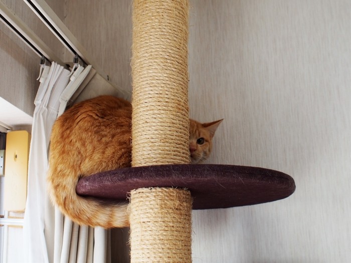 ビビりは、なかなか直らない