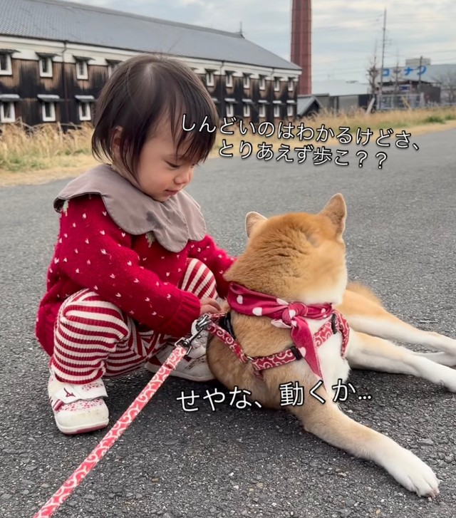 お姉ちゃん、歩こ？（提供：@shiba.tsukuneさん）