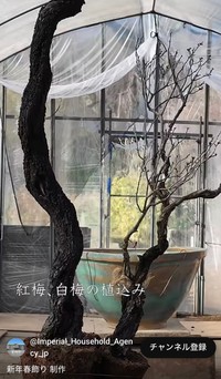 宮内庁公式YouTubeチャンネルから（動画のスクリーンショット）