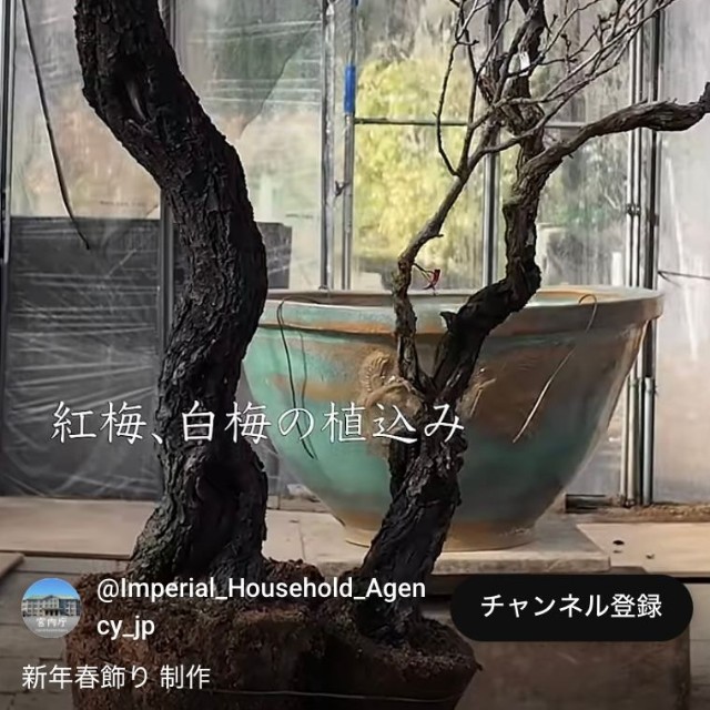 宮内庁公式YouTubeチャンネルから（動画のスクリーンショット）