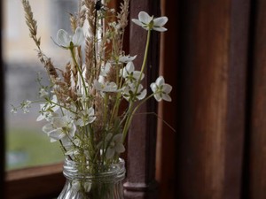 この激情は執着？依存？それなら私は一生「恋」なんてしなくていい