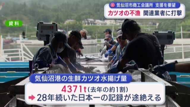 気仙沼港のカツオ不漁　地元の水産業に打撃