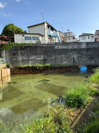（KazMiyamoさん提供）