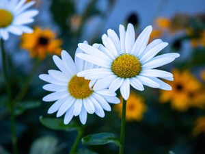 母と娘の良い距離感。親子とはいっても違う人間