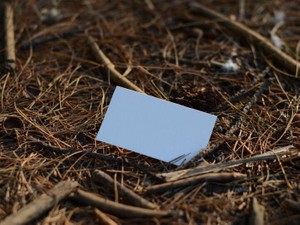 親の愛を求め、様々な形の愛を知った私はまだ「恋愛」を知らない