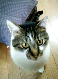 とーちゃんが大好きなマースケ君。普段はキリっとしたイケメンです（Panyさん提供）