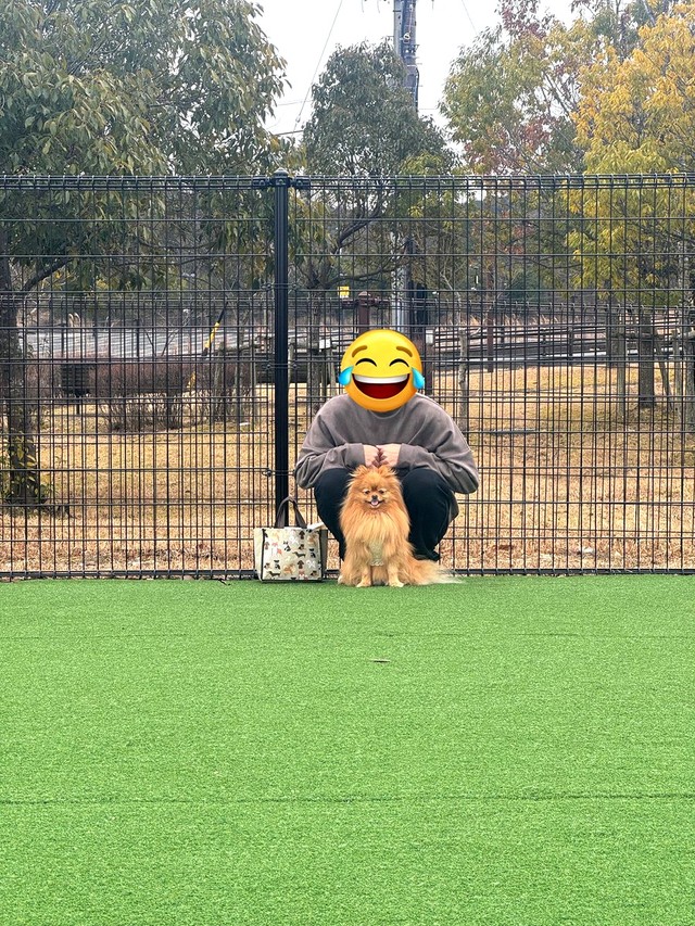 ドッグランの隅でおすわりしたまま固まってしまったふちちゃん（画像提供：ふちさん）