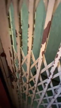 ピンクのドアを開けるともう一枚…（ぶたごりらさん提供）