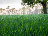残念でもそれでいい。私は自分の目で確かめるために旅に出る