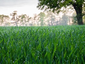 残念でもそれでいい。私は自分の目で確かめるために旅に出る
