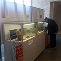 縄文・弥生、狩猟採集の暮らしに迫る　千葉県内で二つの展覧会