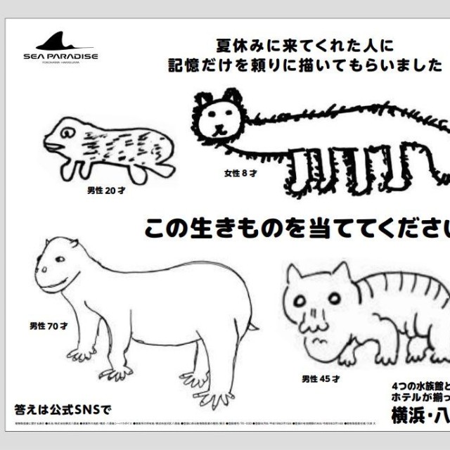 この生きものを当ててください／ 横浜・八景島シーパラダイス アニメ ゲーム部　公式Xより