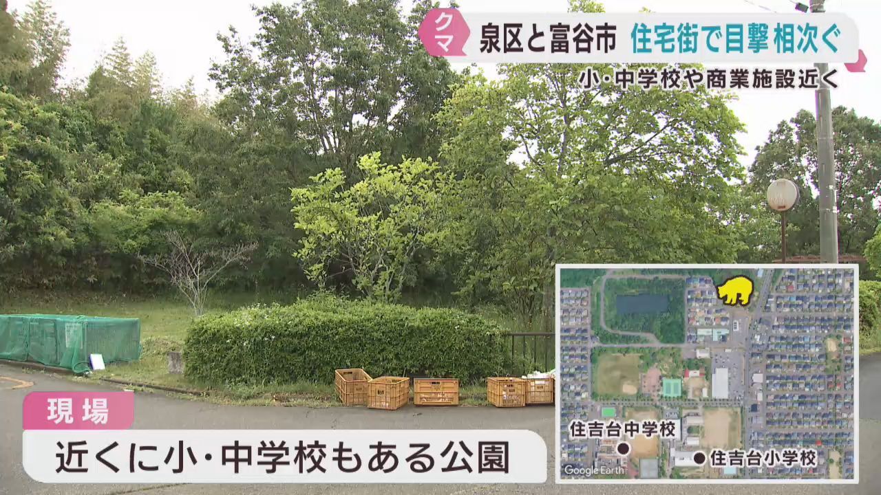 住宅街でクマの目撃が相次ぐ　仙台・泉区と宮城・富谷市　宮城県での出没は前年同時期の３倍超
