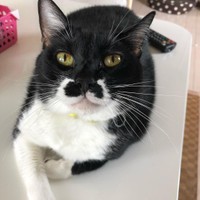 のんびりくつろぐって最高の時間よね