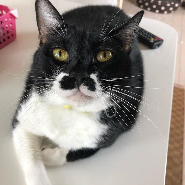 のんびりくつろぐって最高の時間よね