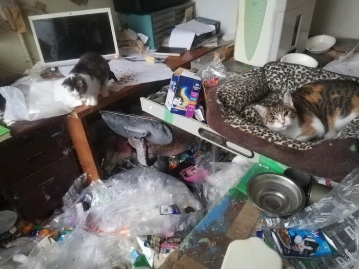 崩壊現場、左の机にいるのがメロディ（ねこかつ提供）