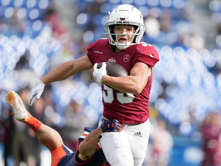 最終セール‼️【選手限定‼️】早稲田大学ビックベアーズ 早稲田大学