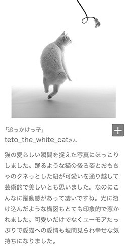 Sony αシリーズInstagram フォトコンテスト作品に対する審査講評（フォトグラファーうちだなおこさんによる）