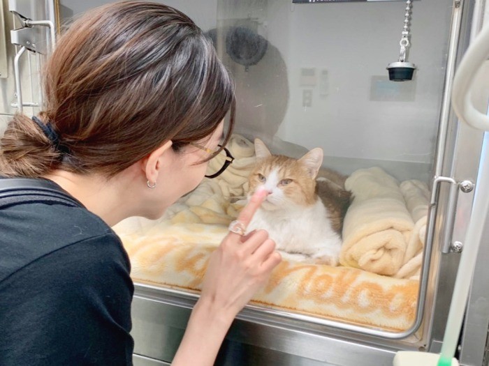 目を開けたごろりんに会えた！！！