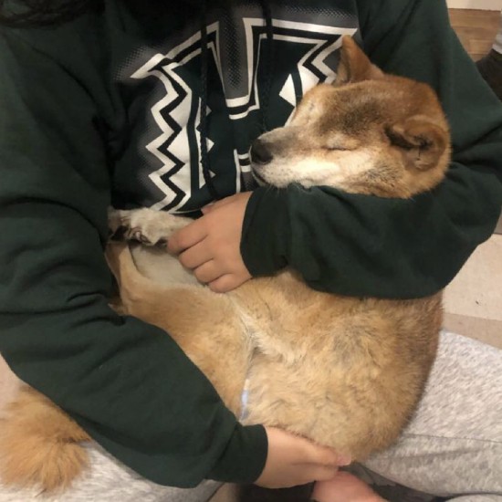 ここで眠るのがサイコーなんだよね