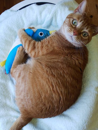 「女子も可愛いけど、僕も可愛いでしょ」