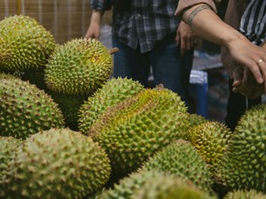 すまし顔の母の写真を見る度、あの街の熱気とドリアンのにおいが蘇る