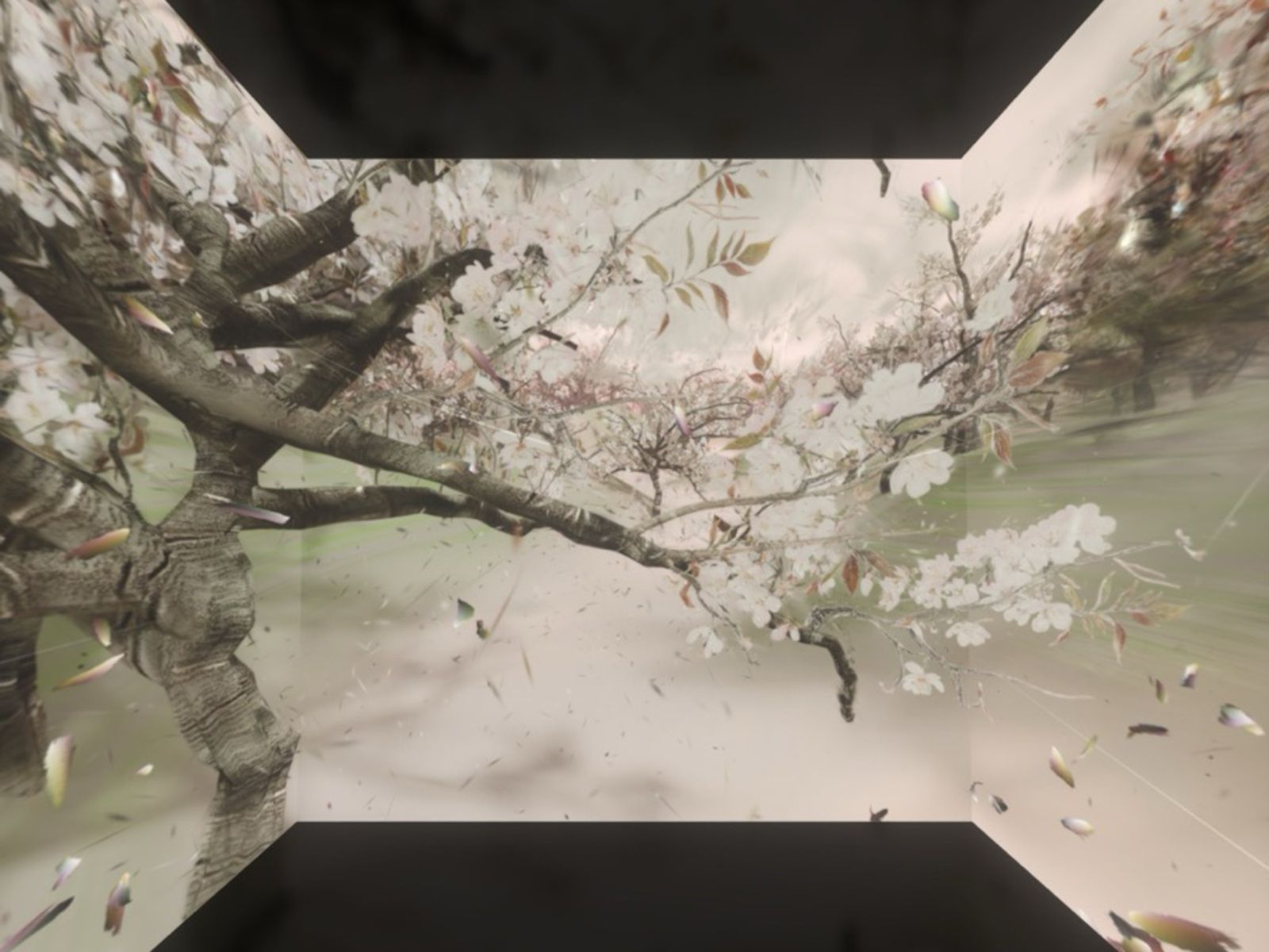 没入感たっぷり！ ひと足早く桜の美を楽しむ映像インスタレーション