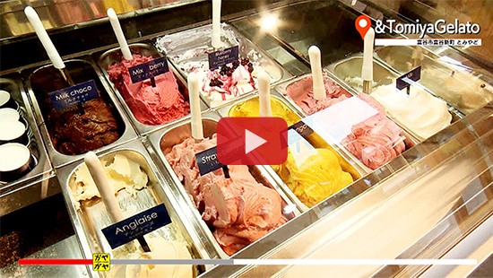 #546&TomiyaGelato②