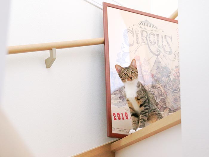 後追いのパン。慎重派だ。