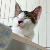 おねむのお顔＝mike_dedenneさん提供
