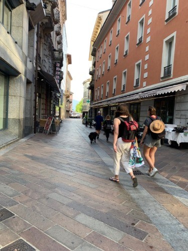 法律ではおそらくNGだと思うのですが、ノーリードのワンちゃんは見かけます。ですが、ノーリードだからとはしゃぐわけでもなく落ち着いたワンちゃんばかりでした