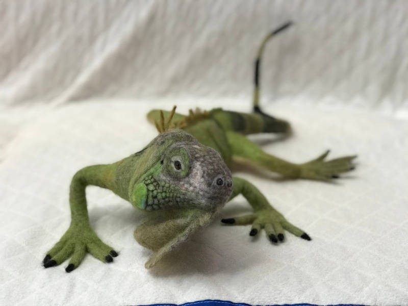 イグアナもこのリアルさ！