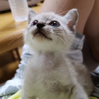 川口家に来た頃、瞳がキラキラ輝いている