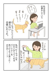 【漫画】『再婚できたのは猫のせい。』2（ヨスコスさん提供）