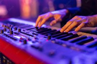 コンサート中に演奏するキーボーディストのクローズアップ（Lukas Gojda/stock.adobe.com）※画像はイメージです