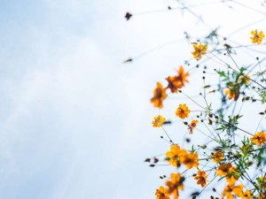 「おとなしい」自分を否定してきたけど…ＳＮＳで彼と出会って