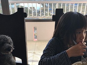 愛犬「ポコ」が初めて娘のひざの上に！　待ちわびた瞬間がついに