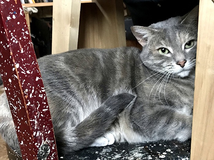 遊びたがりのみっちゃん