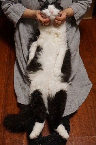 「これからも、のびのーびいきましょう！」